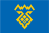 Тольятти. Флаг города Тольятти